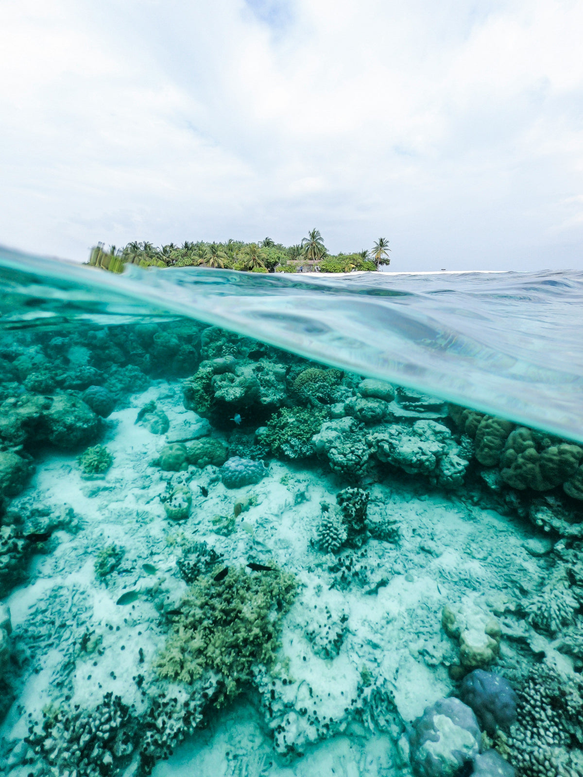 Eco-Friendly Boat Cleaning: What Actually Matters (And What’s Just Hype)
